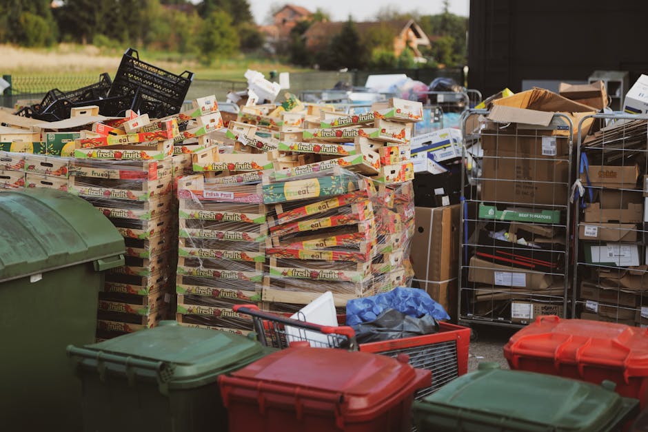 A large, green wheeled waste bin filled with various discarded materials including crumpled paper, plastic bottles, and miscellaneous household waste, situated outdoors in an urban environment. The bin's surface shows signs of dirt and scratches, indicating frequent use. Surrounding the bin are several cardboard boxes, some flattened and others partially collapsed, along with wooden pallets and framing materials leaning against and lying nearby. In the background, blurred trees, urban buildings, and parked cars suggest a city street setting. The scene depicts the process of outdoor rubbish collection, possibly related to independent waste disposal or bulk waste clearance, with the contents appearing ready for removal or transfer to a waste management service such as those provided by Kingston Bridge bulky waste collection and disposal services. Natural daylight illuminates the scene, highlighting the textures and colors of the various debris and emphasizing the practical, utilitarian nature of the waste management environment.